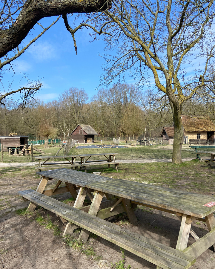 Kinder/ ouder workshop 'Samen schitteren' @ Kinderboerderij Wilrijk
