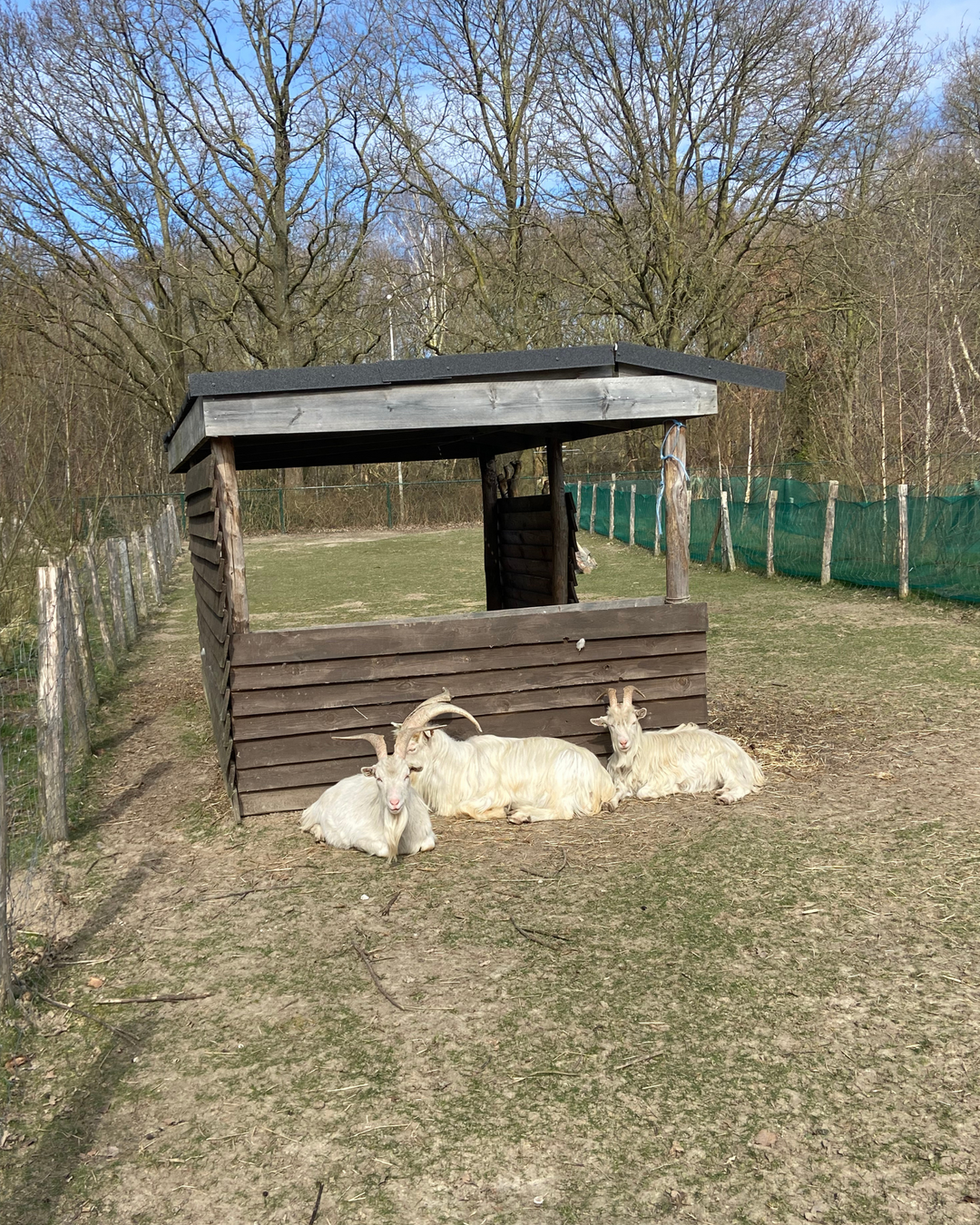Kinder/ ouder workshop 'Samen schitteren' @ Kinderboerderij Wilrijk